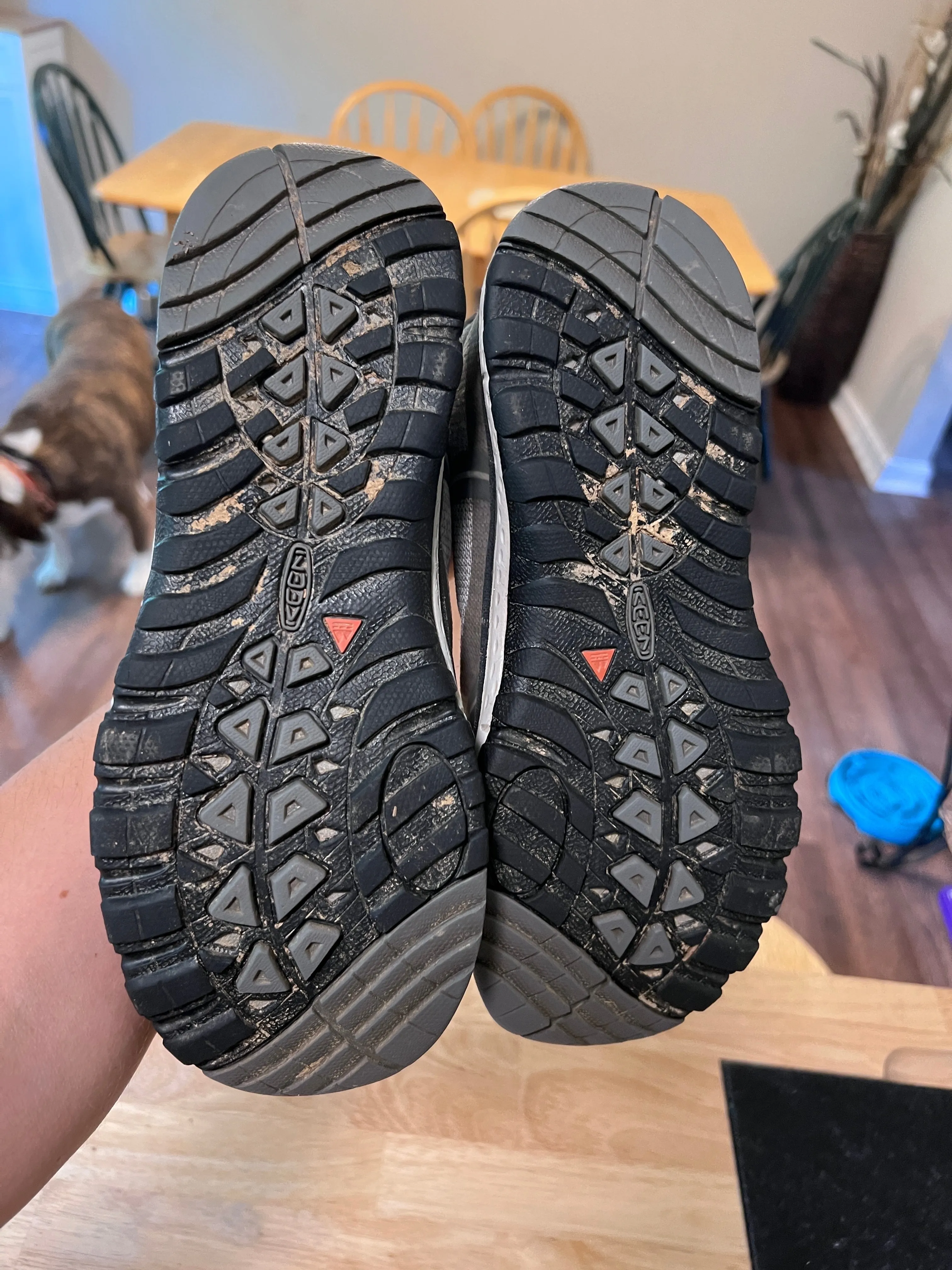 Keen Terradora Mid Hiking Boots Women's 8