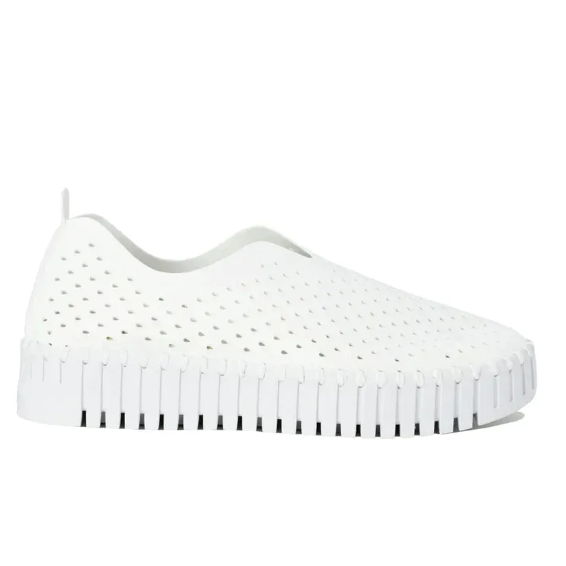Tulip Platform Shoe - multiple colors
